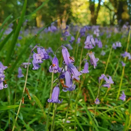 Cara Self Catering Tiny アパート *