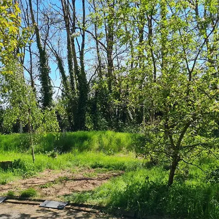 Cara Self Catering Tiny * 韦克斯福德